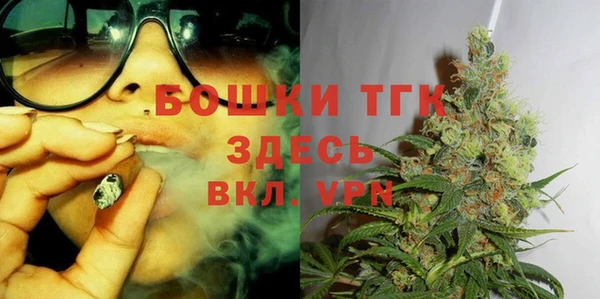 стаф Богданович