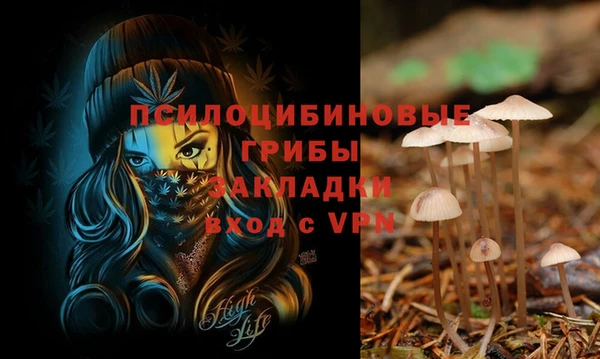 винт Бородино