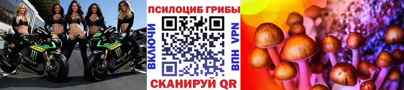 Купить закладки  Перевоз  Галлюциногенные грибы Magic Shrooms 